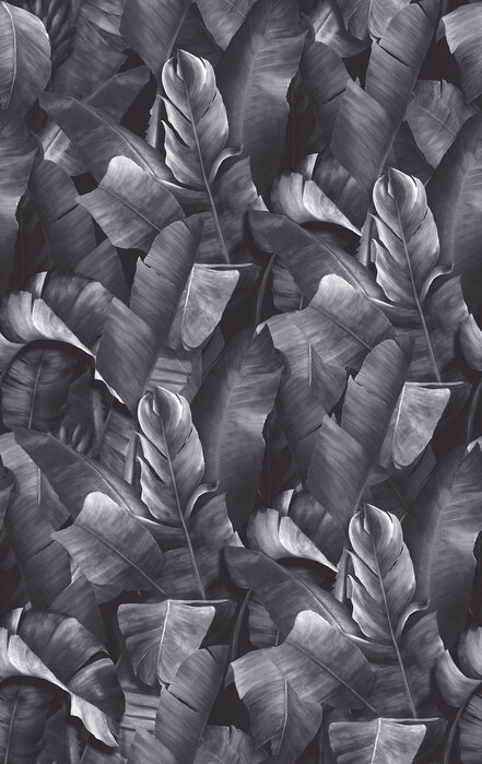 Awesome 4438 grey wallpaper wallpapers with 0 downloads and 0 views
