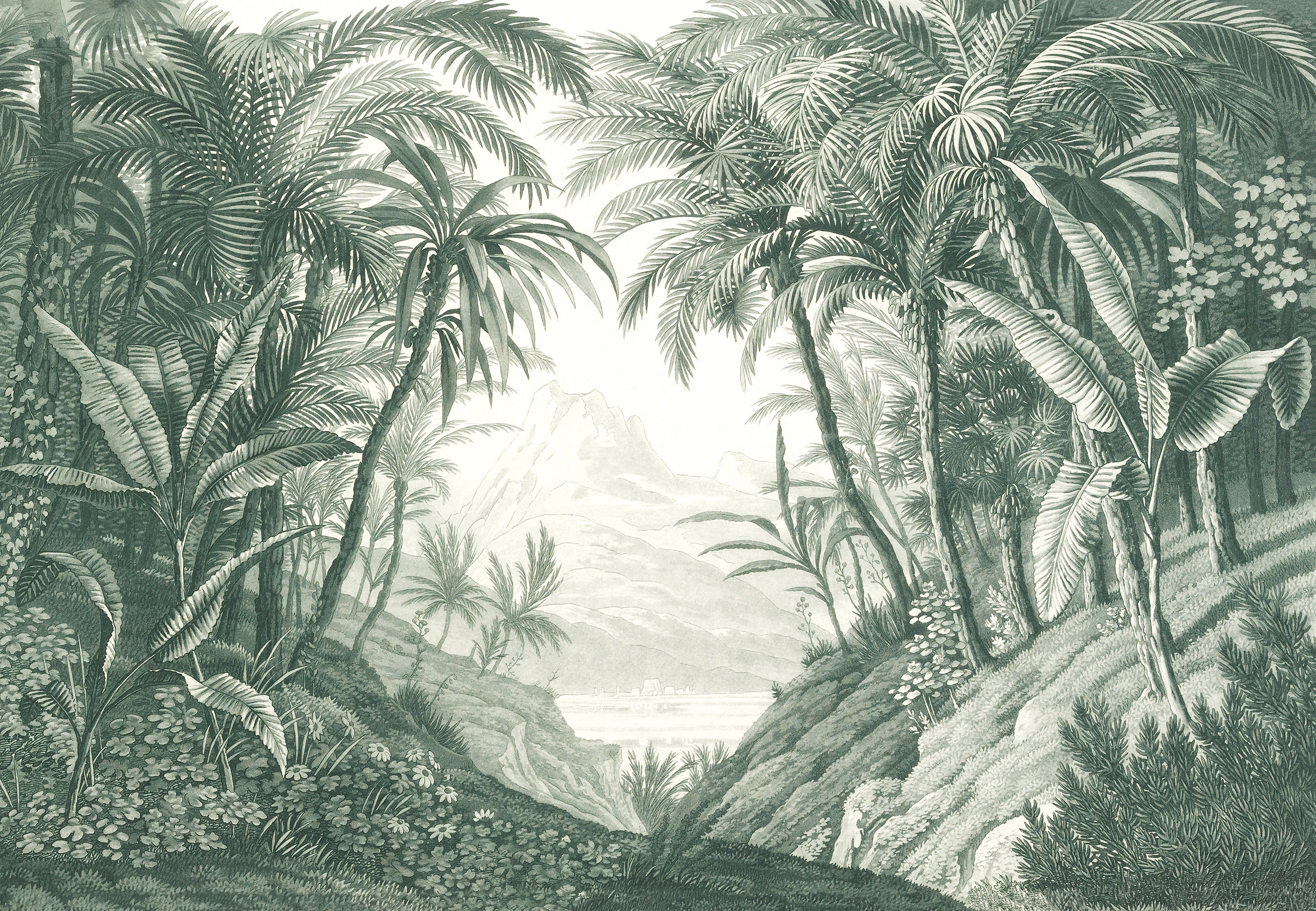 Hot hot hot 7392 jungle wallpaper wallpapers with 0 downloads and 0 views