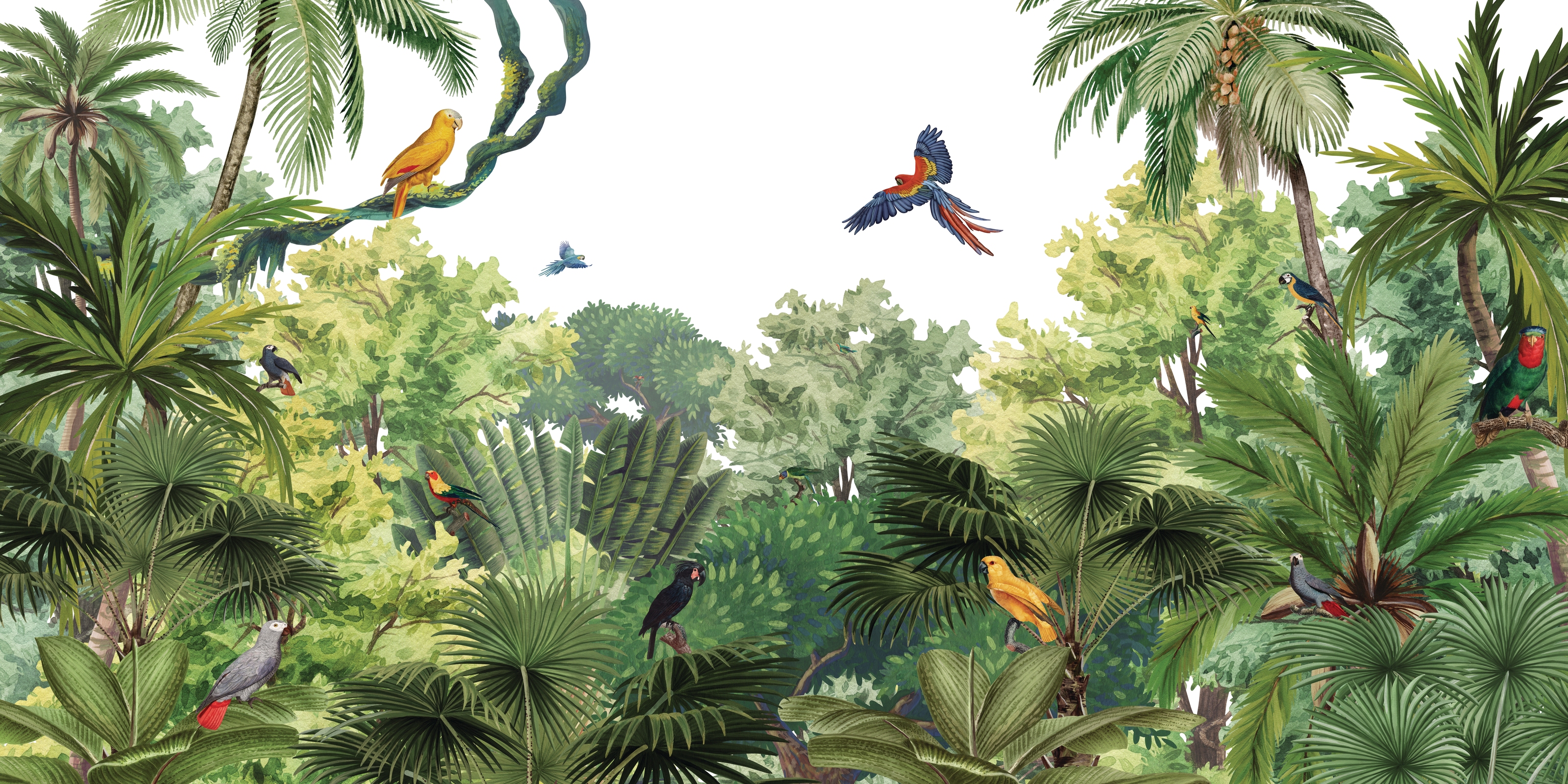 Sunset romance 7518 jungle wallpaper wallpapers downloaded 0 and 0 views