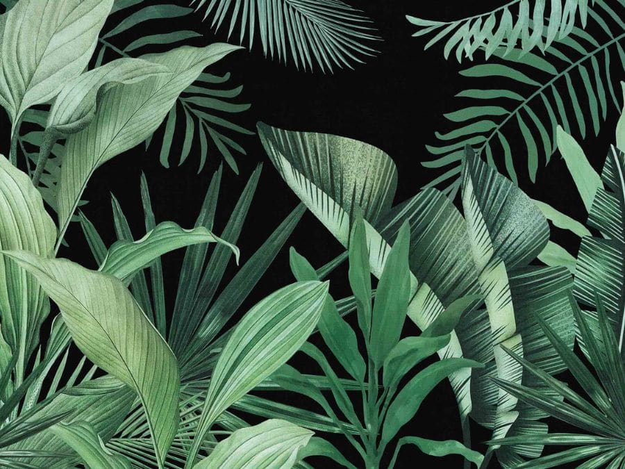 Blow your mind 7616 jungle wallpaper wallpapers with 0 downloads and 0 views
