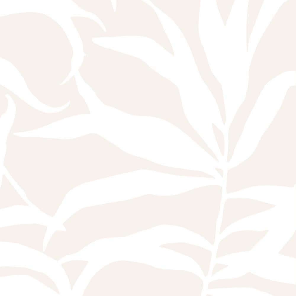 8190 wallpapers with a mysterious beige wallpaper