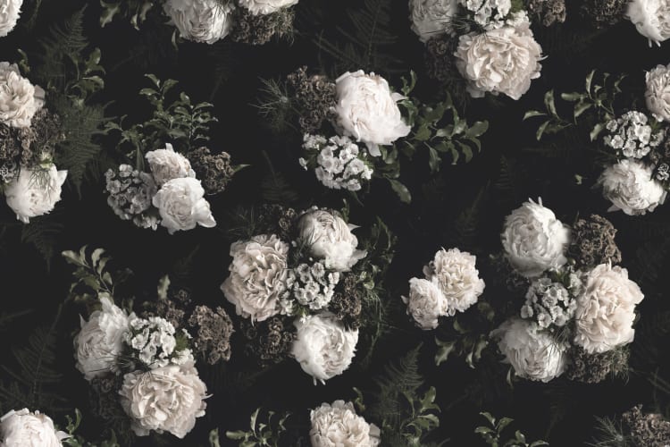 Breathe the cold black and white wallpaper wallpapers 9044 with 0 downloads and 0 views