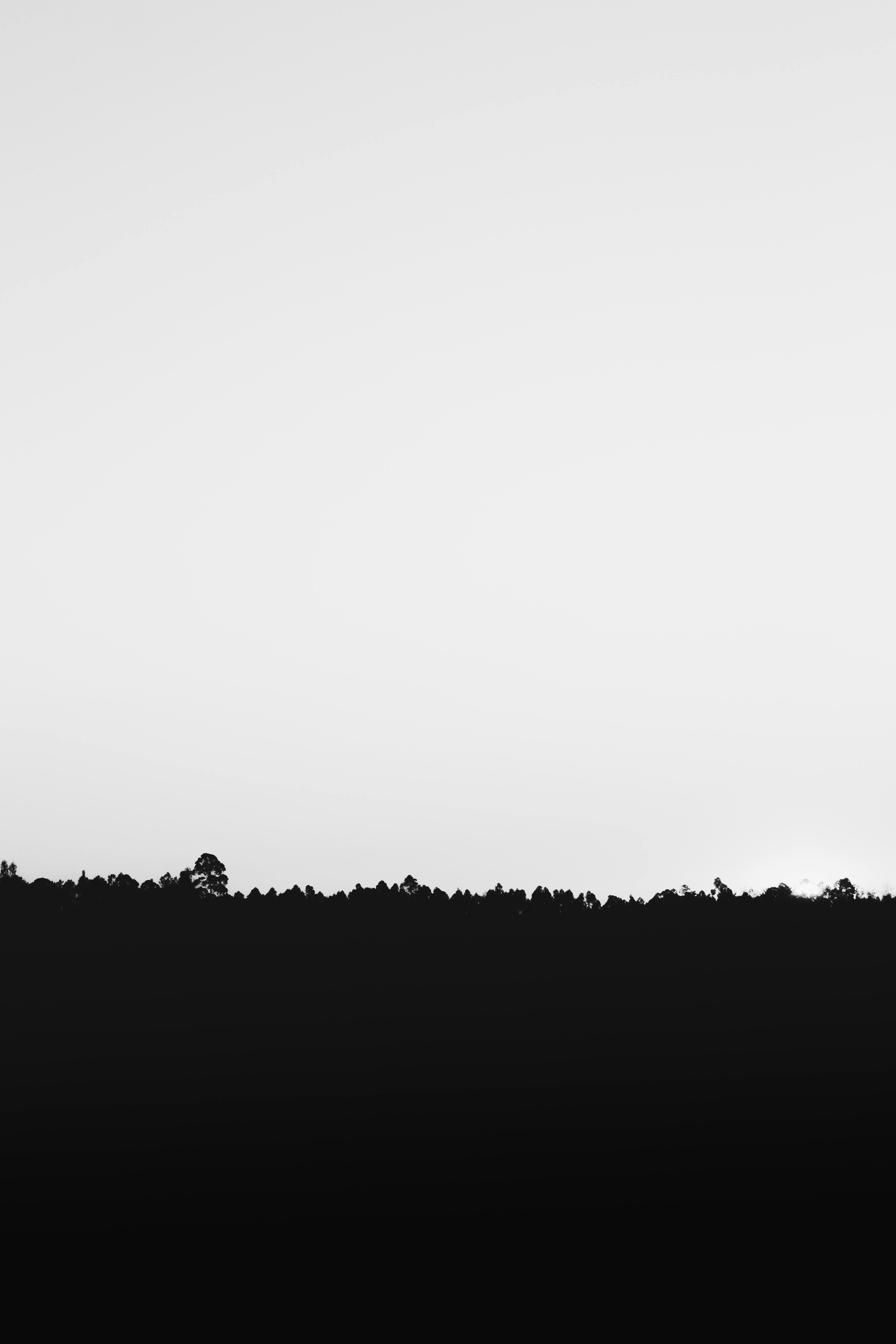Good vibes radiating 9254 black and white wallpaper wallpapers