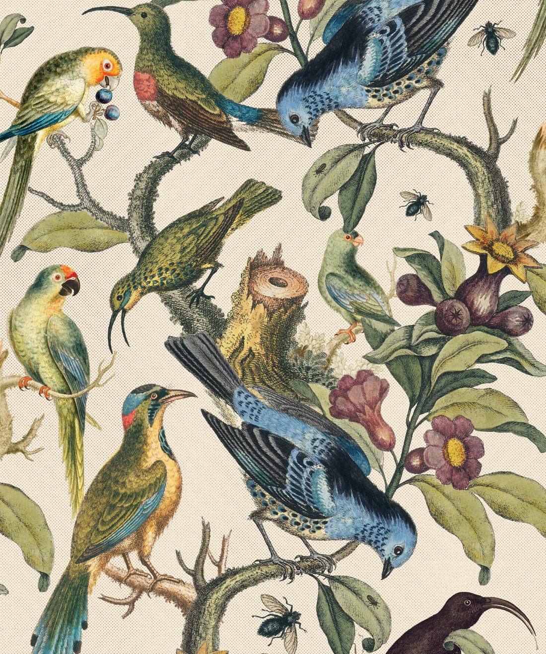 Awesome 10472 bird wallpaper wallpapers with 0 downloads and 0 views