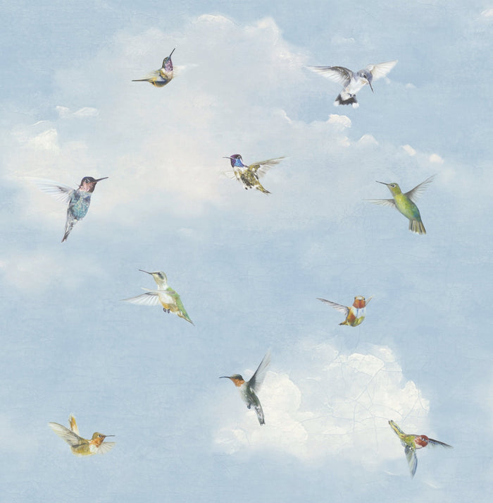 10542 Stupendous bird wallpaper wallpapers