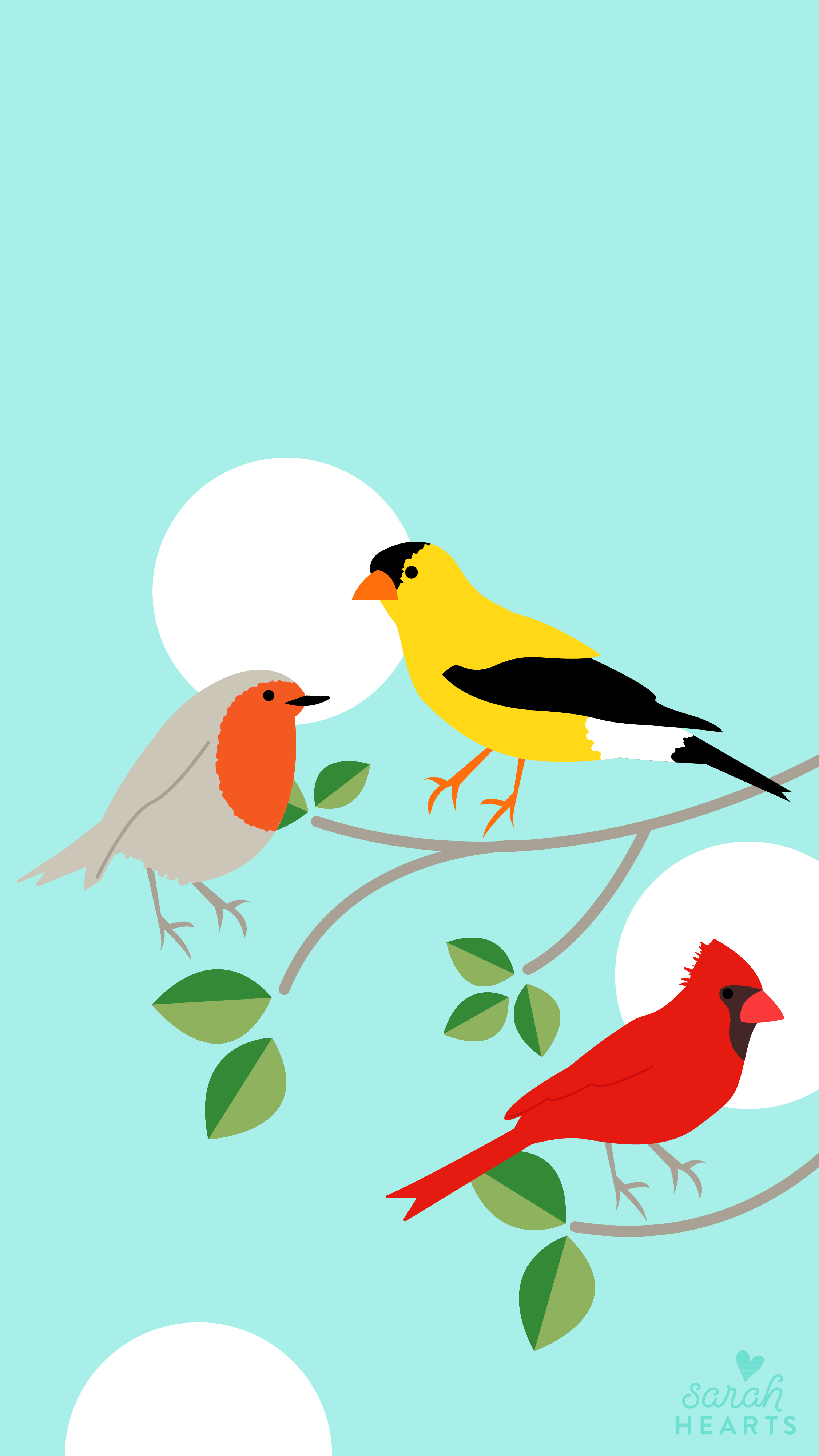 A glimpse of joy in 10682 bird wallpaper wallpapers downloaded 0 times