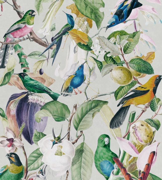 Download sad romance bird wallpaper wallpapers 10766 for 0th time