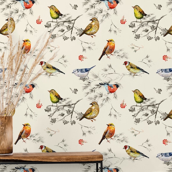 10780 wallpapers of cute & amusing bird wallpaper