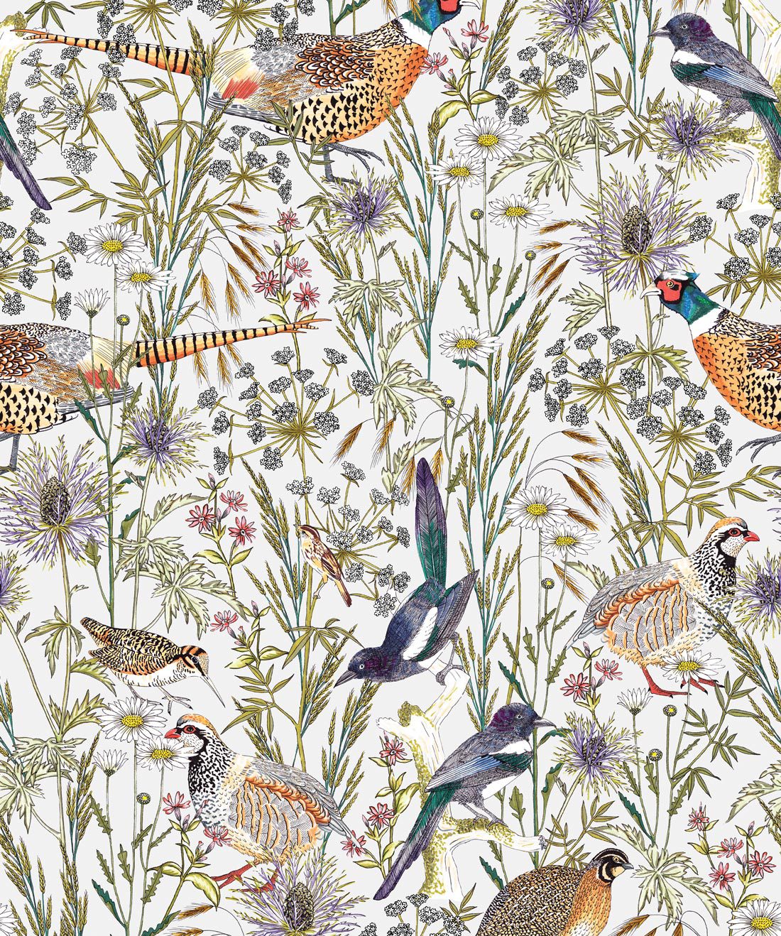 Awesome 10864 bird wallpaper wallpapers with 0 downloads and 0 views
