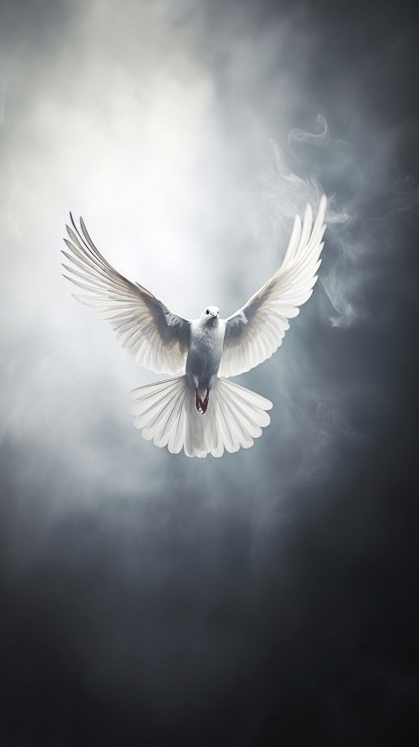10948 Splendid bird wallpaper wallpapers