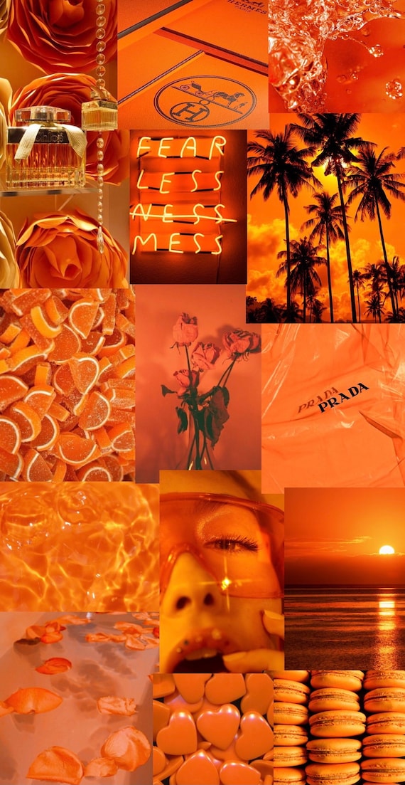 Lucky 11186 orange wallpaper wallpapers with 0 downloads and 0 views