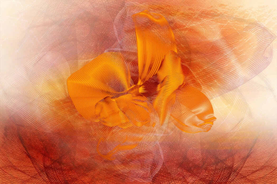 Obsession 11214 love orange wallpaper wallpapers with 0 downloads and 0 views