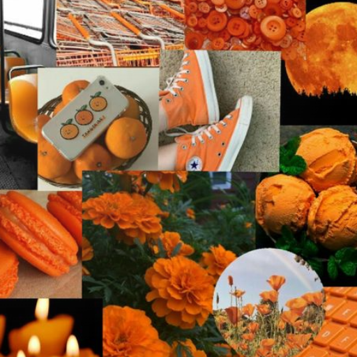 Ecstasize celestial beauty of orange wallpaper wallpapers 11662