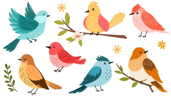 birds clipart