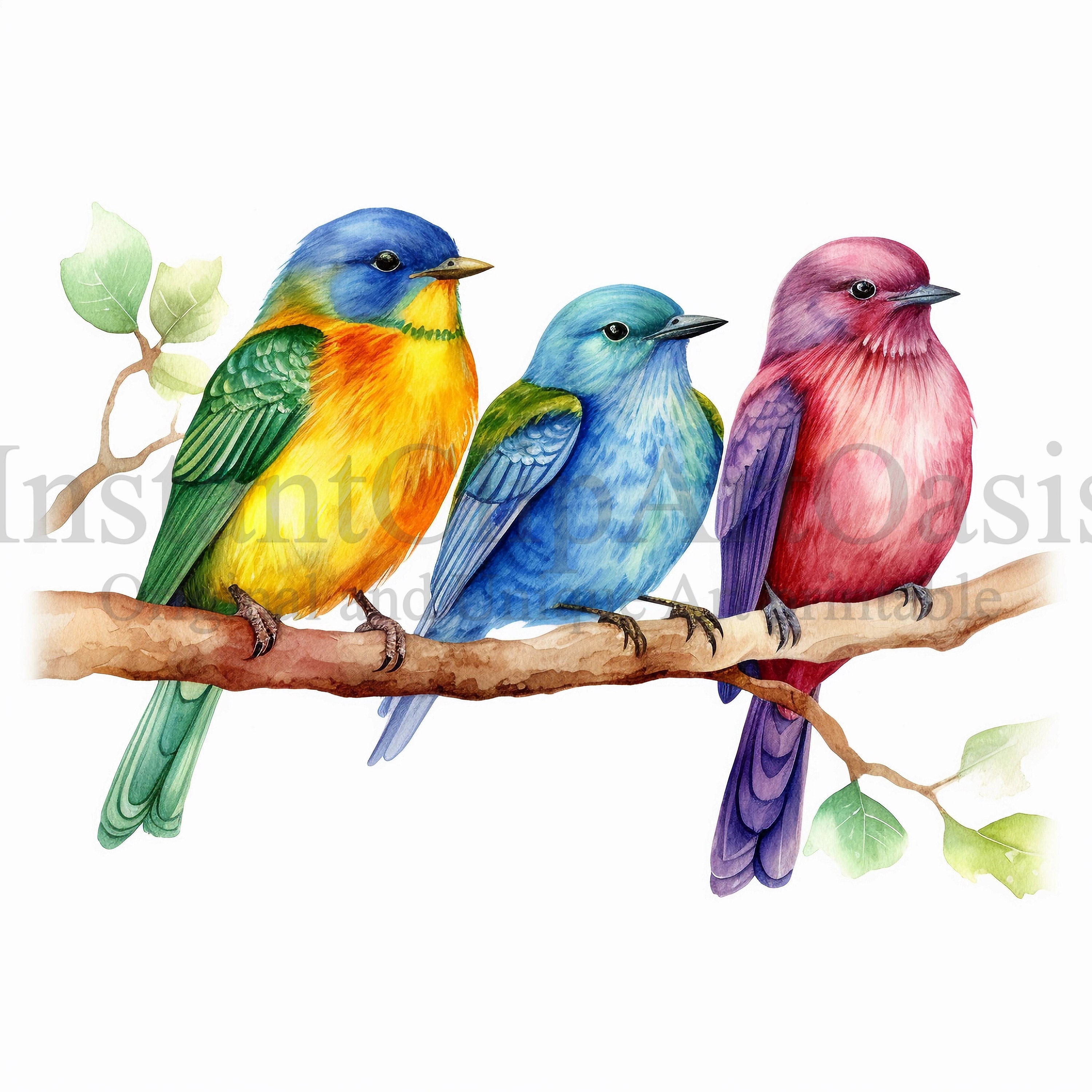 birds clipart