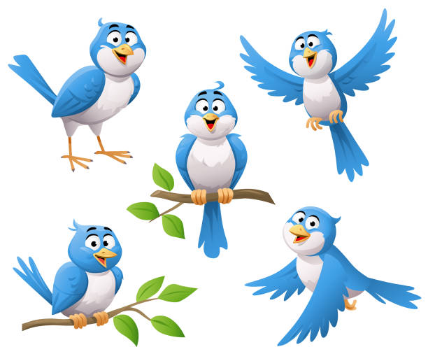 birds clipart