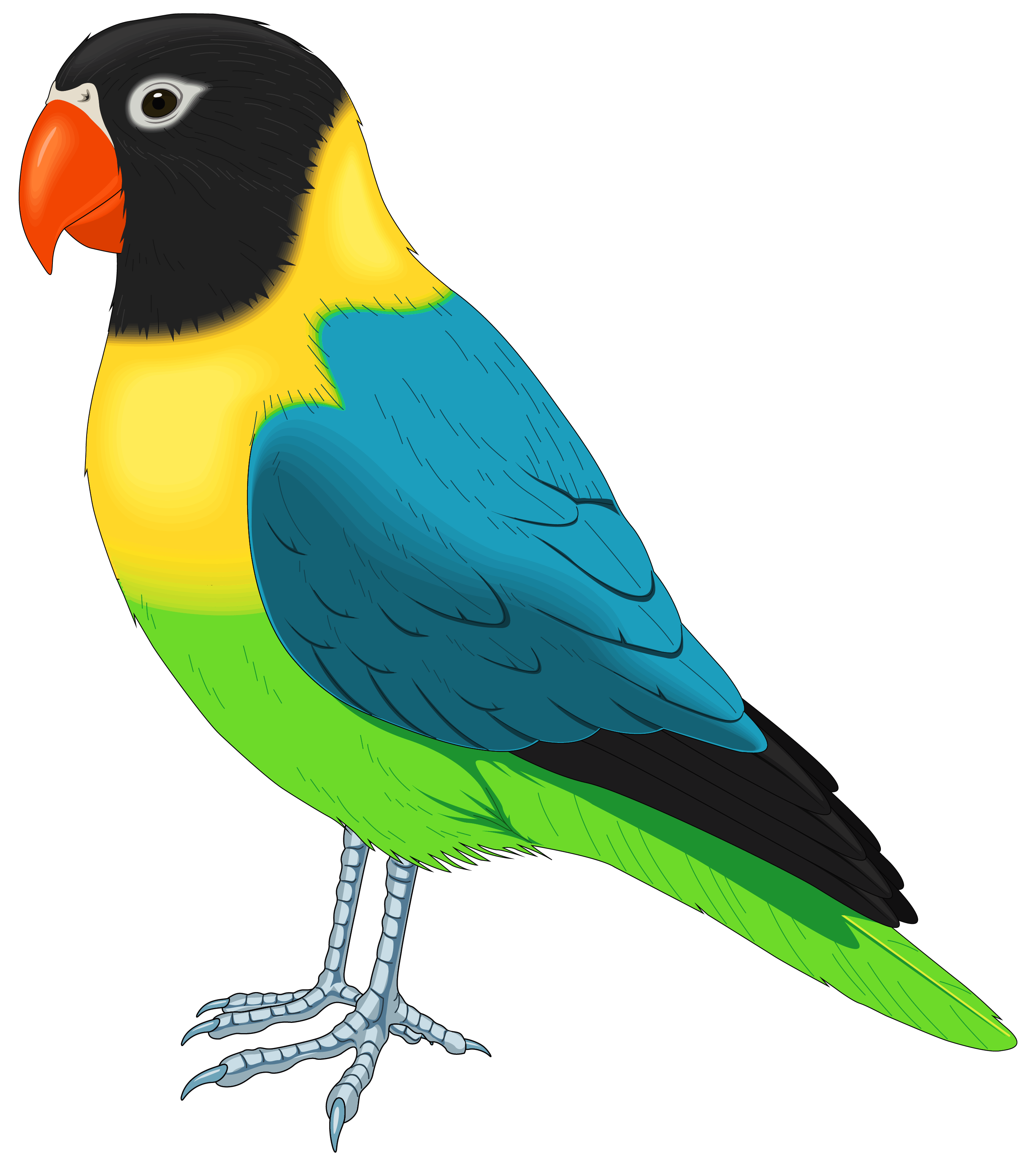 birds clipart