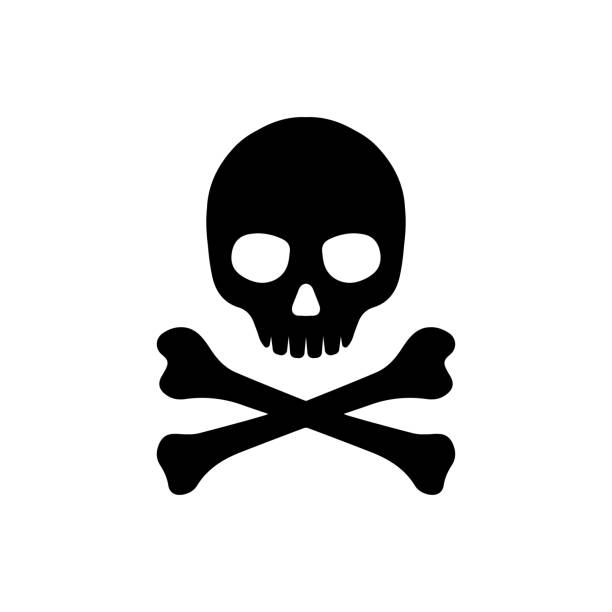 skull clipart