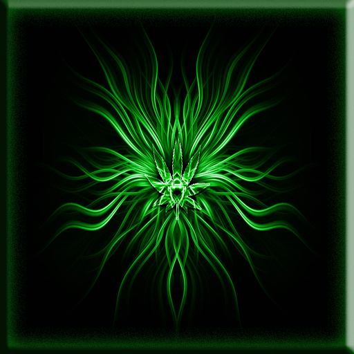 Amazing green wallpaper wallpapers 1778 stuck up with the screen
