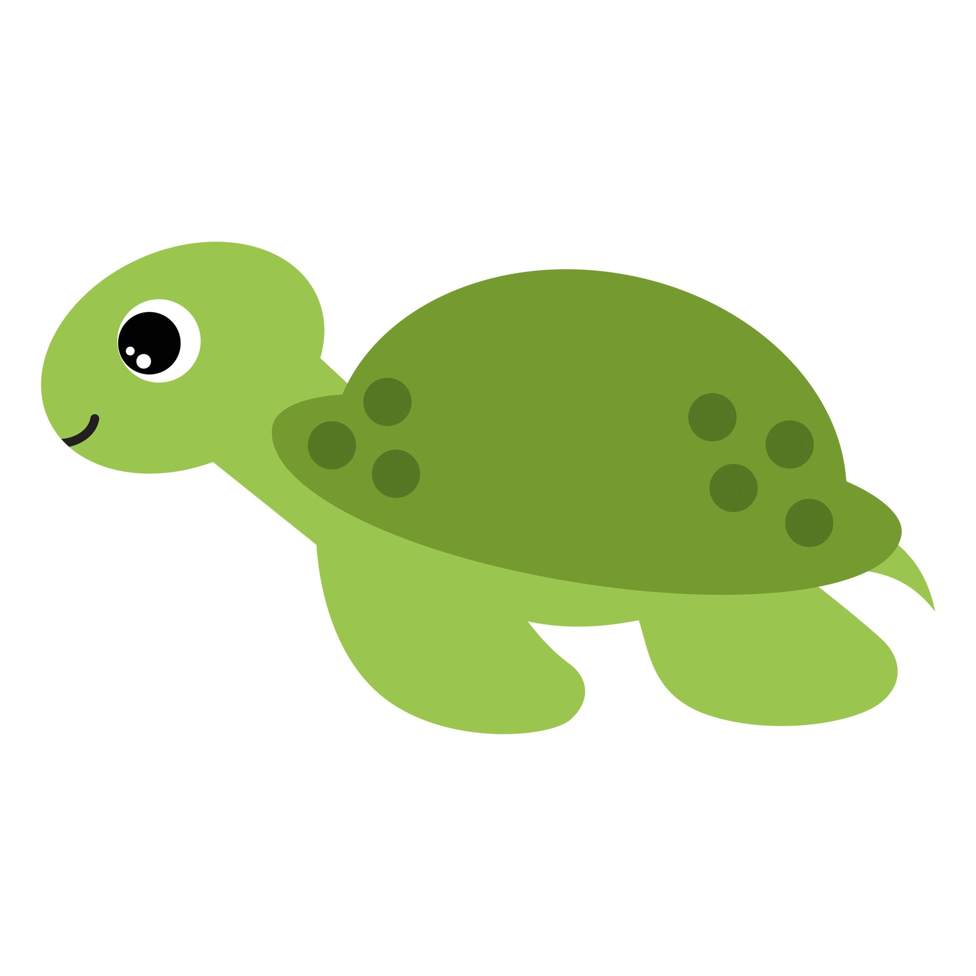 turtle clipart