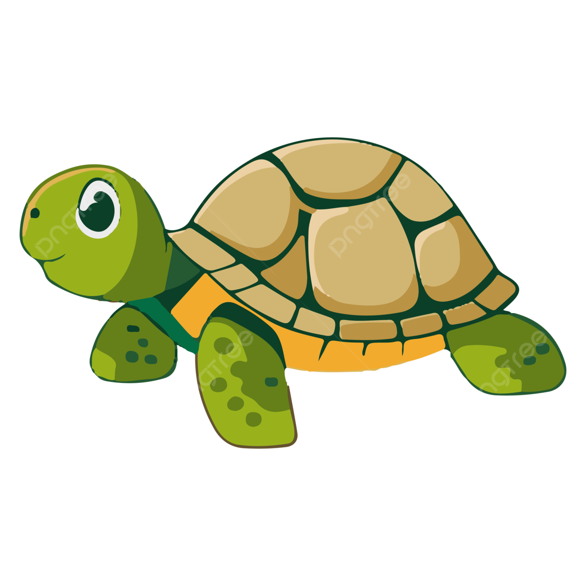 turtle clipart
