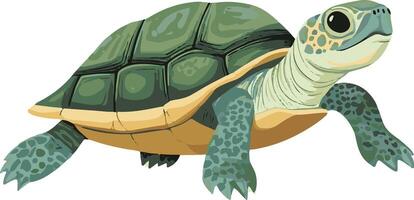 turtle clipart