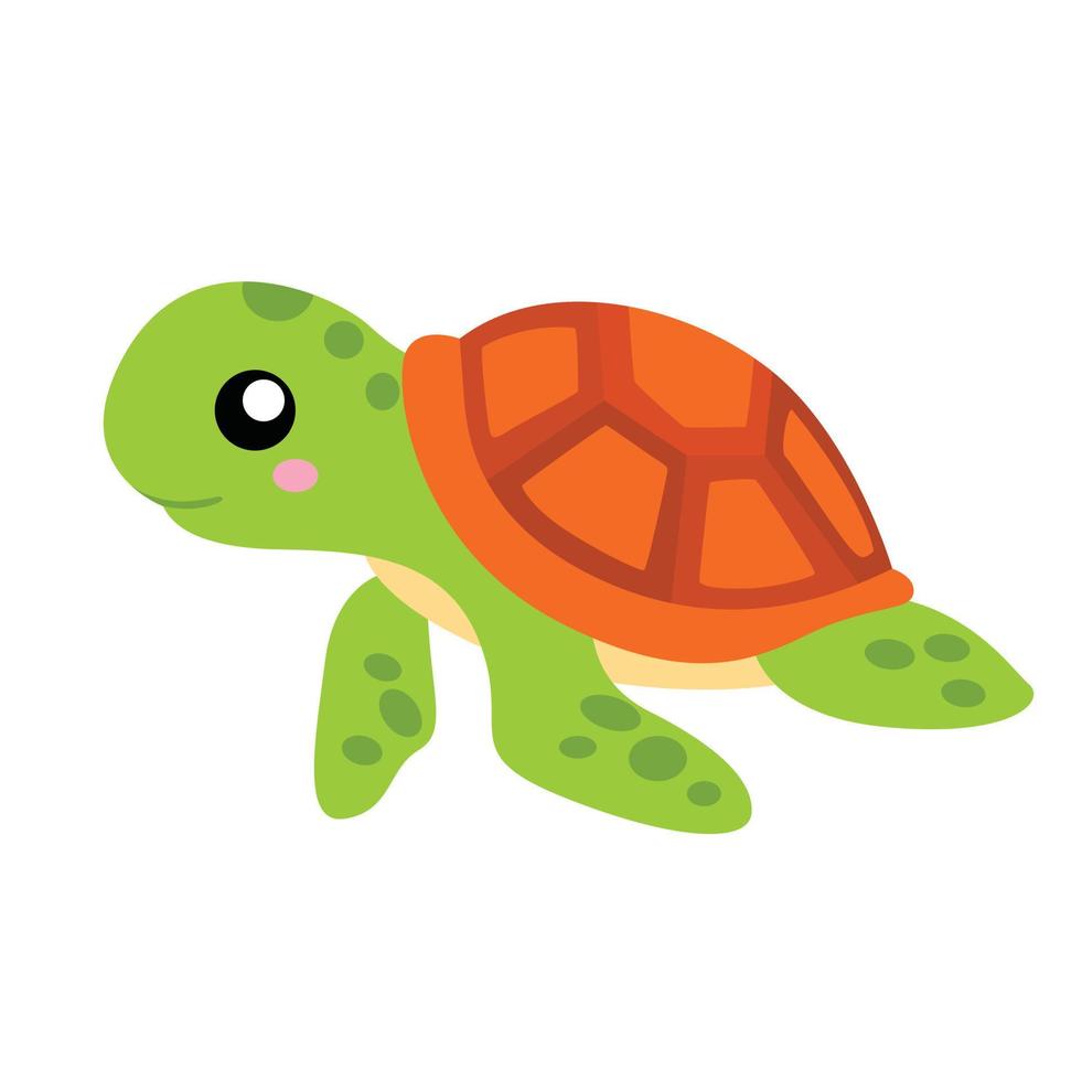 turtle clipart
