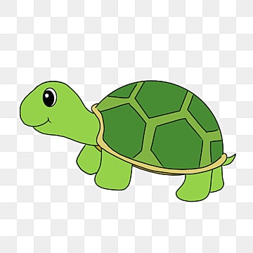 turtle clipart