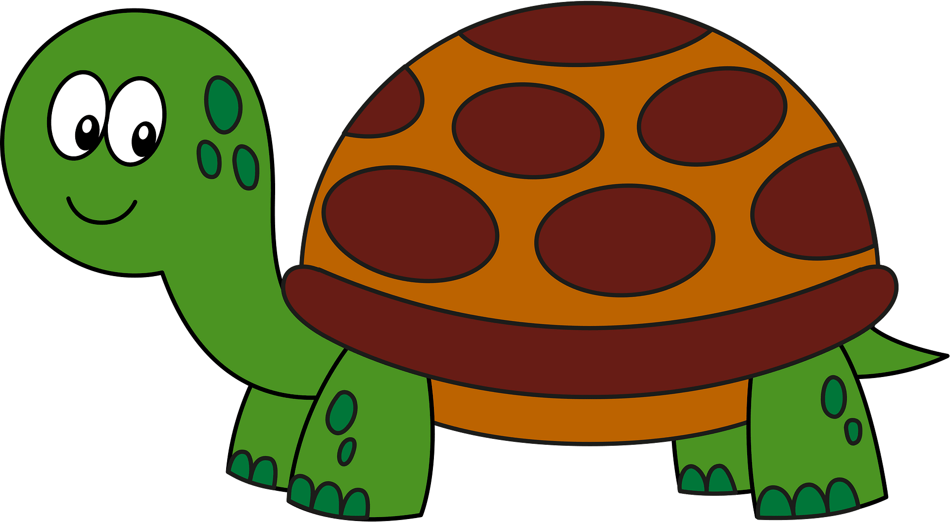 turtle clipart