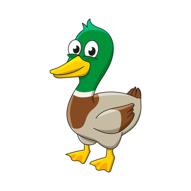 duck clipart