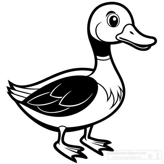 duck clipart