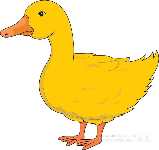 duck clipart