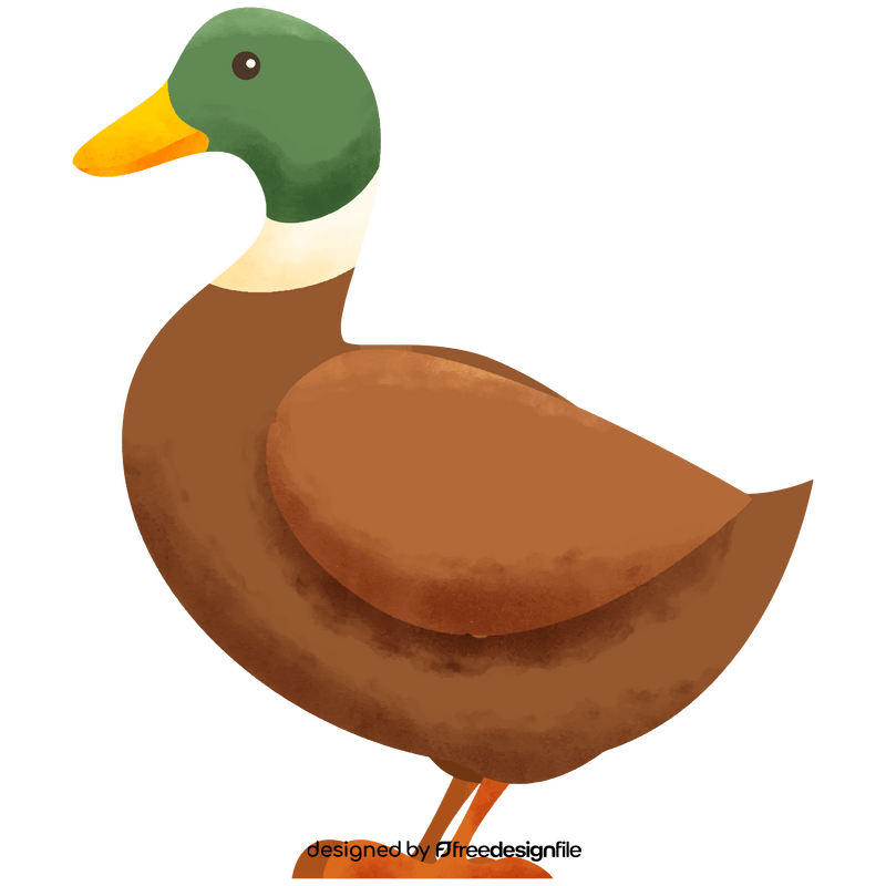 duck clipart