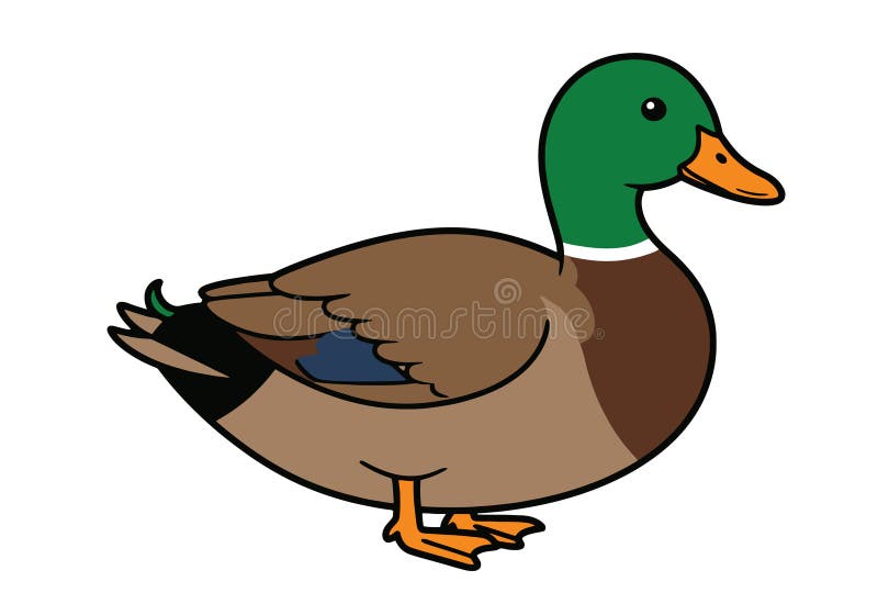 duck clipart