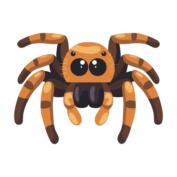 spider clipart