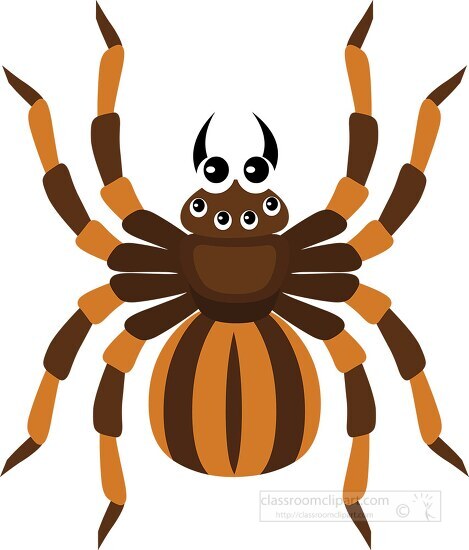 spider clipart