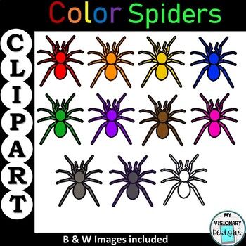 spider clipart