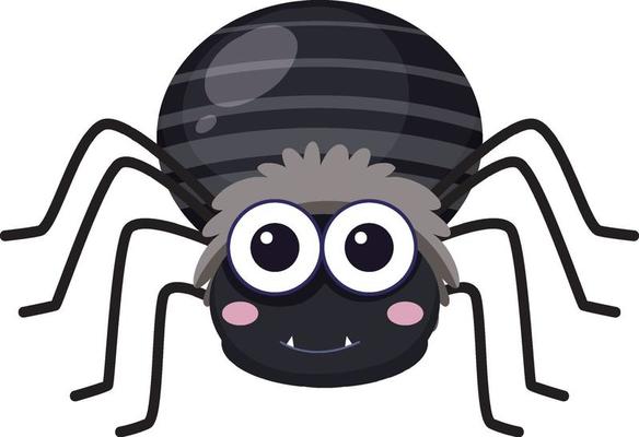 spider clipart