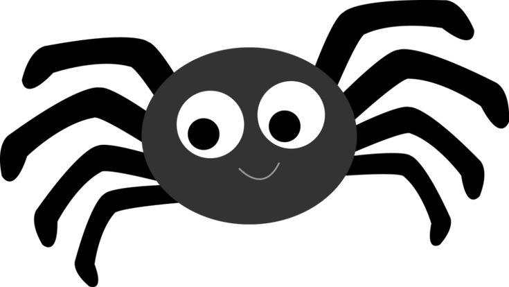 spider clipart